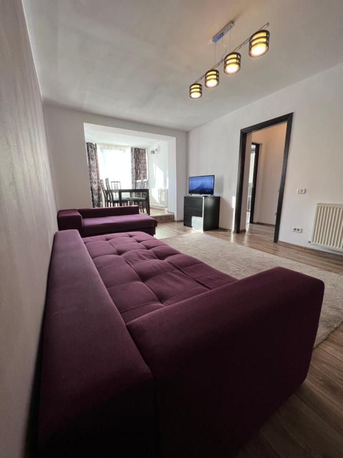 Nordic Sunny Apartment Suceava Dış mekan fotoğraf